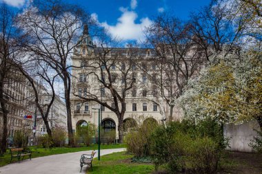 Rathaus parkta güzel erken Bahar günü