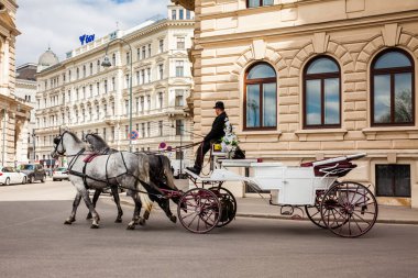 Vienna, Avusturya - Nisan, 2018: Hofburg Tiyatrosunun yanında Bankgasse sokaklarda sürme Vintage atlı arabası
