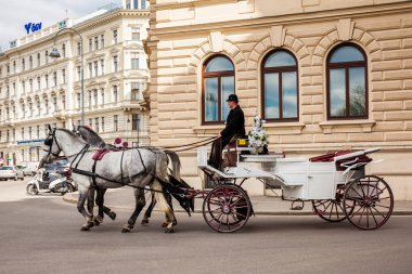 Vienna, Avusturya - Nisan, 2018: Hofburg Tiyatrosunun yanında Bankgasse sokaklarda sürme Vintage atlı arabası