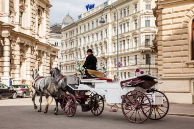 Vienna, Avusturya - Nisan, 2018: Hofburg Tiyatrosunun yanında Bankgasse sokaklarda sürme Vintage atlı arabası
