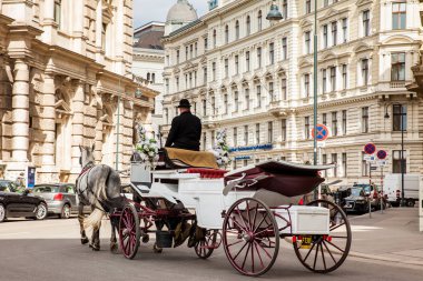 Vienna, Avusturya - Nisan, 2018: Hofburg Tiyatrosunun yanında Bankgasse sokaklarda sürme Vintage atlı arabası