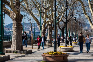 İnsanlar güzel Tuna mesire erken bahar gününde
