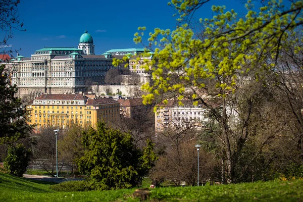 Buda Castle seen from the Garden of Philosophy located at Gellert Hill — Stock Photo, Image