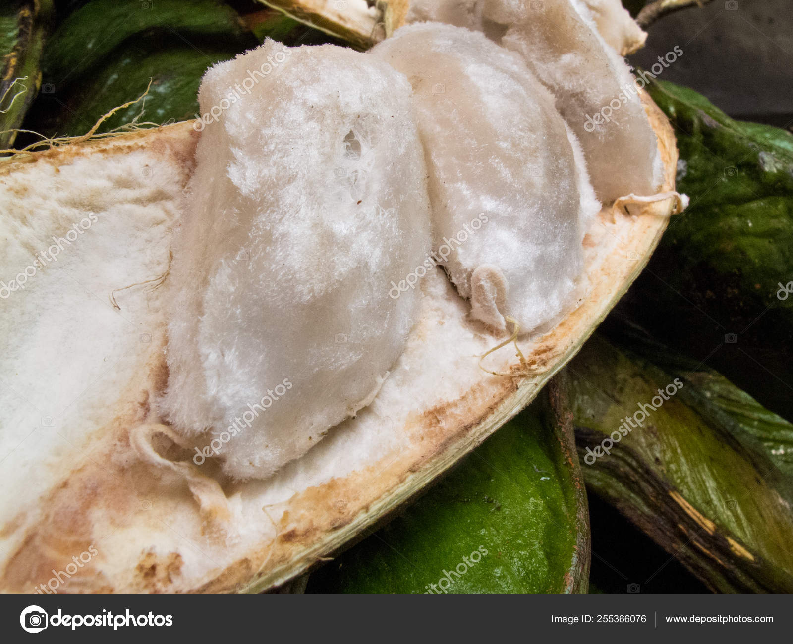 Fresh inga fruit. The guama fruit tropical and exotic from South