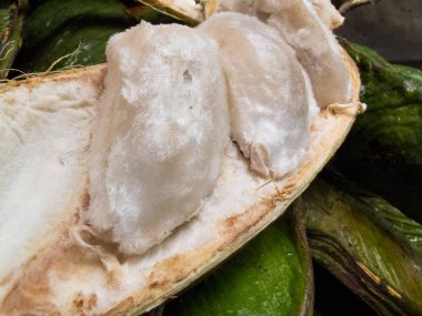 Exotic tropical fruit called guama (Inga Edulis) clipart