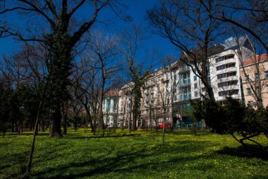 Ünlü antika Coog-tekerlek demiryolu yakın güzel bir Budapeşte sokak görünümü