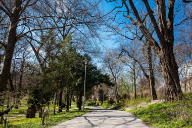 Ünlü antika Coog-tekerlek demiryolu yakın güzel bir Budapeşte Park görünümü