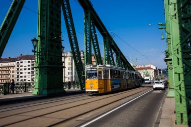 Budapeşte'de Tuna Nehri üzerinde Özgürlük Köprüsü veya Özgürlük Köprüsü