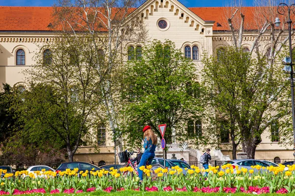 Lindas flores em um dia ensolarado no início da primavera eo edifício da Faculdade de Direito da Universidade de Zagreb localizado na Praça da República da Croácia — Fotografia de Stock