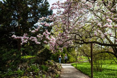 Zagreb'de aşağı kasabasında güzel bir erken bahar gününde Botanik Bahçesi'nde İnsanlar