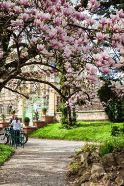 Zagreb'de aşağı kasabasında güzel bir erken bahar gününde Botanik Bahçesi'nde İnsanlar
