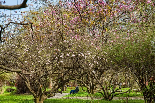 Pessoas no Jardim Botânico em um belo dia de primavera na baixa da cidade de Zagreb — Fotografia de Stock