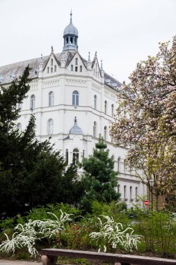 Hırvatistan'ın başkenti Zagreb'in en eski aşağı kasabası olan güzel Zrinjevac parkında baharın başlangıcı