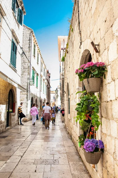 Flores al comienzo de la primavera en las hermosas callejuelas del casco antiguo de Dubrovnik — Foto de Stock