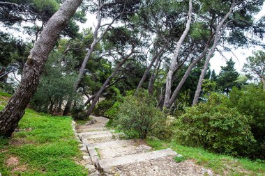 Dubrovnik'teki Gradac Parkı'nın güzel yolları