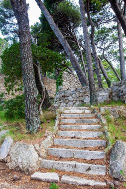 Dubrovnik'teki Gradac Parkı'nın güzel yolları