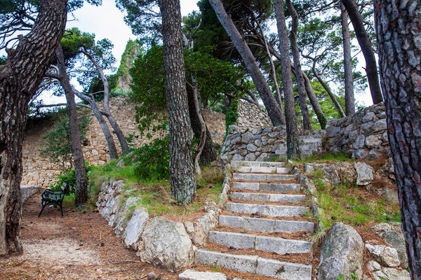 Beautiful paths of the Gradac Park in Dubrovnik