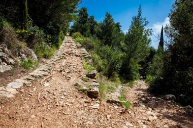 Güzel bir erken bahar gününde Mount Srd yürüyüş izi