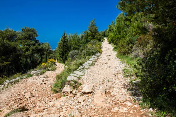 Güzel bir erken bahar gününde Mount Srd yürüyüş izi