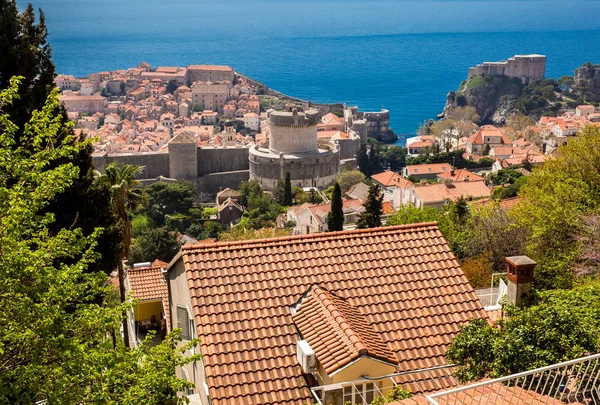 Panoramic view of the roofs of the beautiful Dubrovnik city — Stock Photo, Image