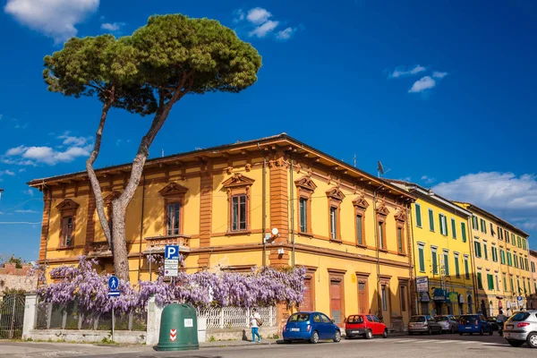 Bellissima architettura e strada di Pisa all'inizio della primavera — Foto Stock