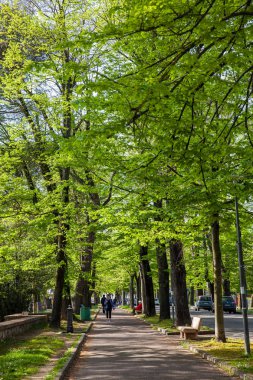Pisa Arno nehri sağ kıyısında boyunca şehrin doğu eteklerinde bulunan Viale delle Piagge bir sokak yürüyüş ve bisiklet yolu