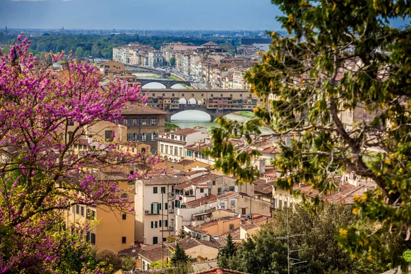 View Beautiful City Florence Giardino Delle Rose Early Spring Day — Stock Photo, Image