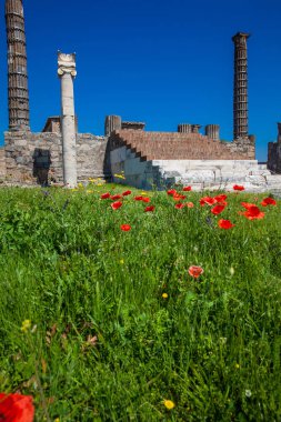 Pompei 'de eski Apollon Tapınağı Harabeleri