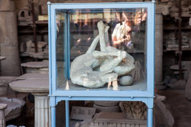 Pompeii antik kentinin Forum Granary bir köpek ve eserler alçı döküm