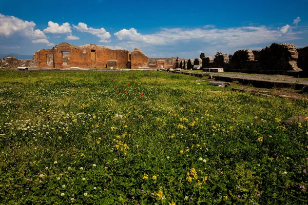 Ruins of the Building of Eumachia in the ancient city of Pompeii in a beautiful early spring day — Stock Photo, Image