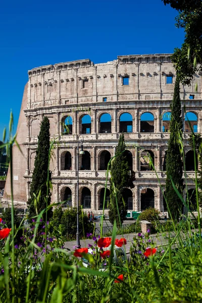 The famous Colosseum or Coliseum also known as the Flavian Amphitheatre in the centre of the city of Rome — Stock Photo, Image