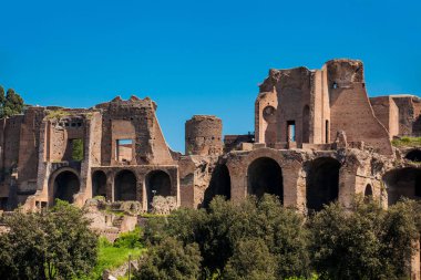 Antik Roma ve Circus Maximus Palatine Tepesi'nde Apollo Palatinus Tapınağı