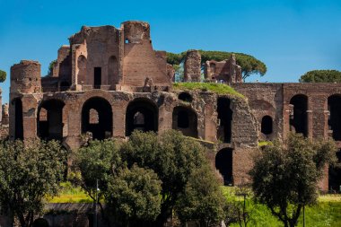 Antik Roma ve Circus Maximus Palatine Tepesi'nde Apollo Palatinus Tapınağı