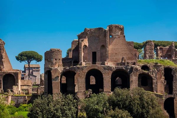 Templo de Apolo Palatinus no monte Palatino da Roma antiga e Circo Máximo — Fotografia de Stock