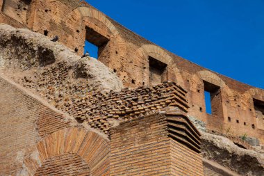 Roma'daki ünlü Kolezyum'un duvarlarının detayı