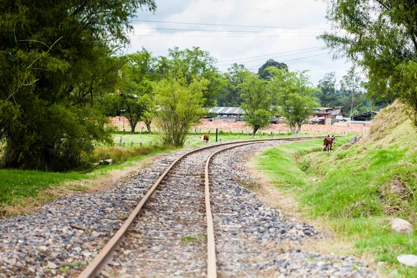 Kolombiya Boyaca Bölümü kırsal alanda demiryolu rayları görünümü — Stok fotoğraf