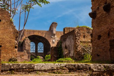 Roma'daki Roma Forumu'nda Maxentius ve Konstantin Bazilikası