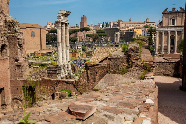 Restos Templo Castor Pollux Dioscuri Fórum Romano Roma — Fotografia de Stock