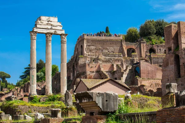 Restos Templo Castor Pollux Basílica Julia Fórum Romano Roma — Fotografia de Stock