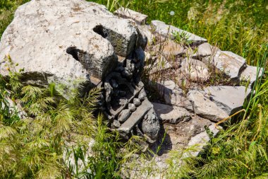 Palatine Tepesi'ndeki Septimius Severus Sarayı veya Domus Severiana Harabeleri