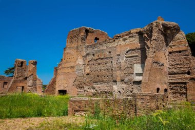 Palatine Tepesi'ndeki Septimius Severus Sarayı veya Domus Severiana Harabeleri