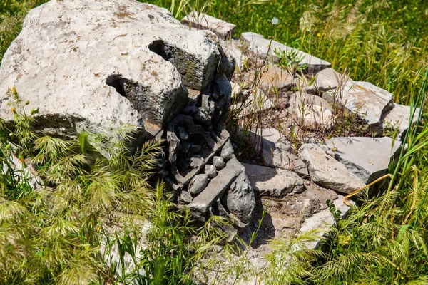 Palatine Tepesi'ndeki Septimius Severus Sarayı veya Domus Severiana Harabeleri