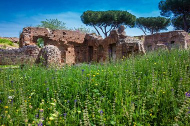 Roma'daki Palatine Tepesi'nde Nymphaeum ve Bitişik Sarnıçlar