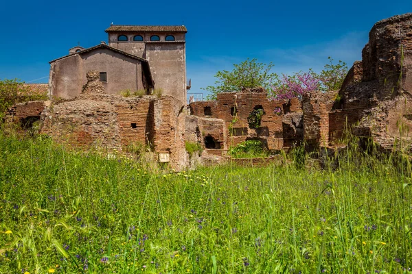 Roma'daki Palatine Tepesi'nde Nymphaeum ve Bitişik Sarnıçlar