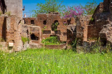 Roma'daki Palatine Tepesi'nde Nymphaeum ve Bitişik Sarnıçlar