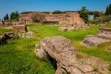 Roma'daki Palatine Tepesi'ndeki Domus Augustana'daki harabelerin detayları