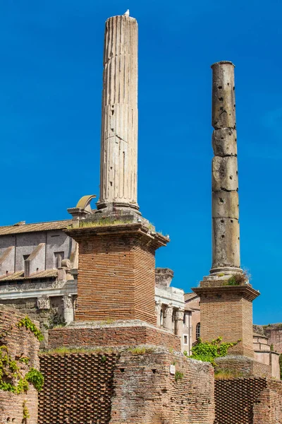 로마 로마 포럼의 명예 칼럼 — 스톡 사진