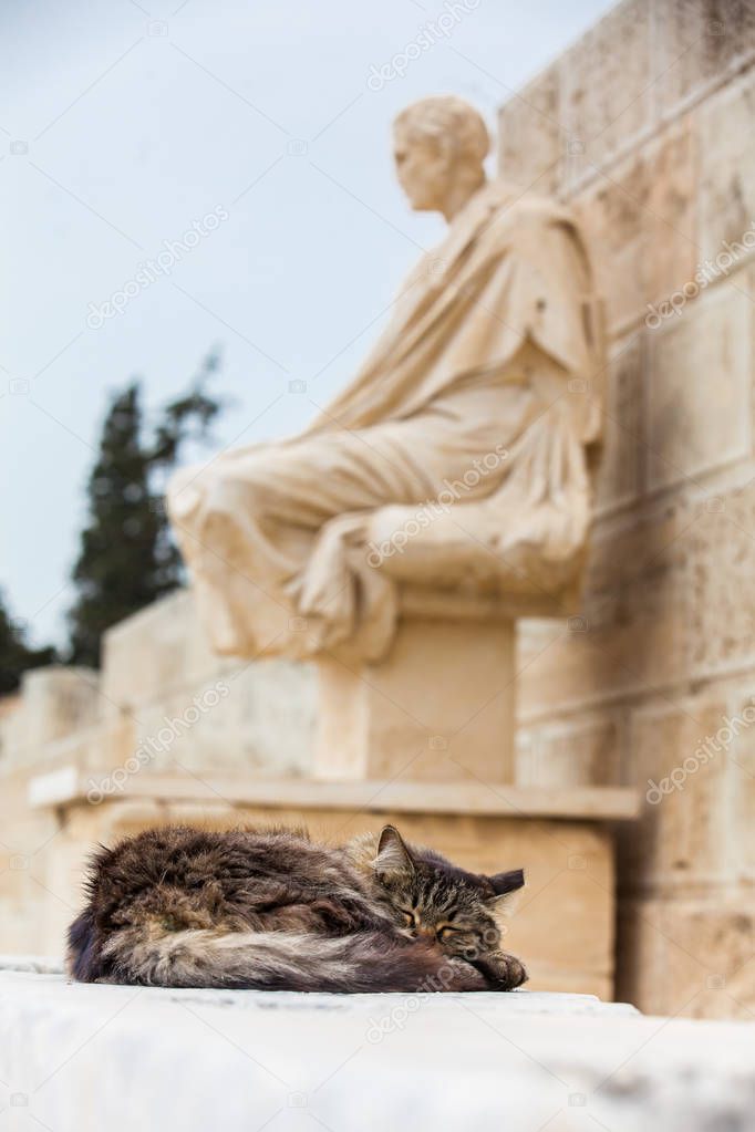 Cat sleeping next to the statue of the dramatist Menander at the Theatre of Dionysus Eleuthereus built at the foot of the Athenian Acropolis dated to the 6th century BC