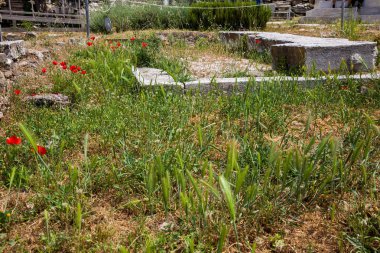 Atina 'daki Akropolis' in kuzeyinde yer alan Roma Agora 'daki antik harabelerin ayrıntıları