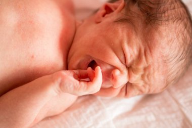 Yeni doğan çığlıkları. Bebek yemek istiyor. küçük yaramaz bir çocuktur.